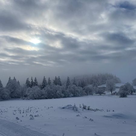 Jirotovy Boudy I Villa Telnice Buitenkant foto