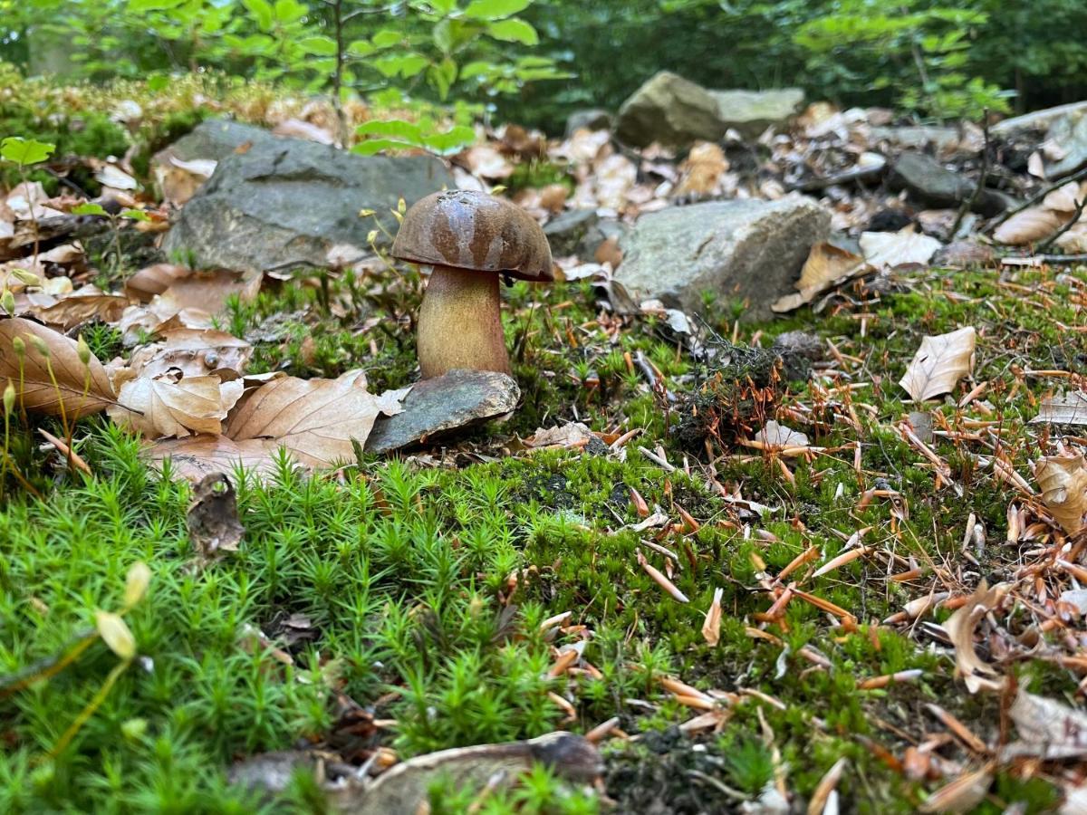 Jirotovy Boudy I Villa Telnice Buitenkant foto